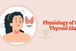 Physiology of thyroid gland