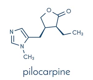 Pilocarpine drug molecule Skeletal formula