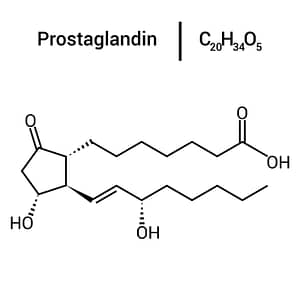 Prostaglandin or Alprostadil