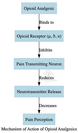 Mechanism of action of Opioid Analgesics