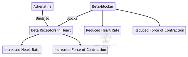 Beta-blockers MOA