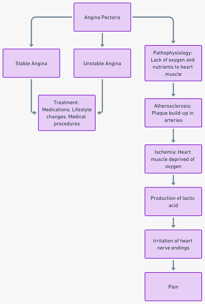 Pathophysiology of angina pectoris