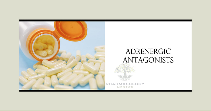 adrenergic antagonists or sympatholytics