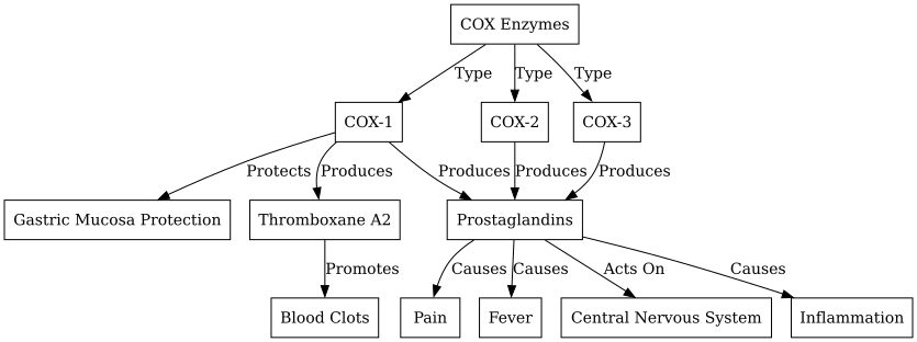 Cyclooxygenase - COX